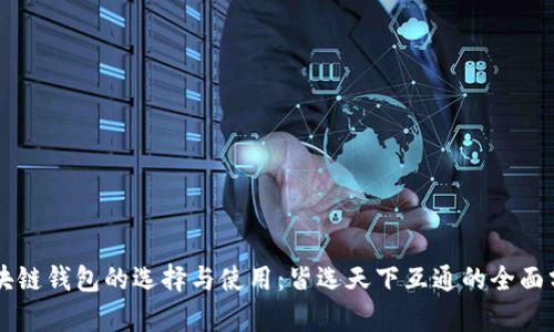 区块链钱包的选择与使用：皆选天下互通的全面分析