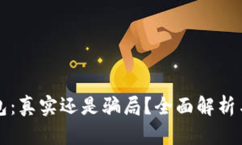 小狐狸钱包：真实还是骗局？全面解析与用户指南