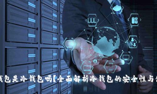 小狐狸钱包是冷钱包吗？全面解析冷钱包的安全性与使用场景