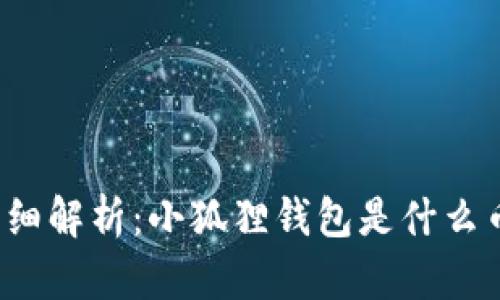  小狐狸钱包详细解析：小狐狸钱包是什么币及其使用指南