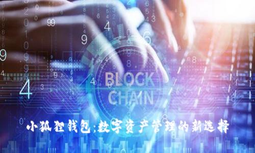 小狐狸钱包：数字资产管理的新选择