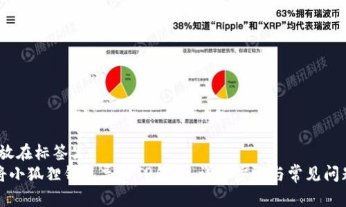 建议，放在标签里：
如何将小狐狸钱包导入TP钱包：详细步骤与常见问题解析