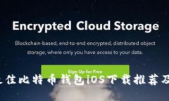 2023年最佳比特币钱包iOS下载推荐及使用指南