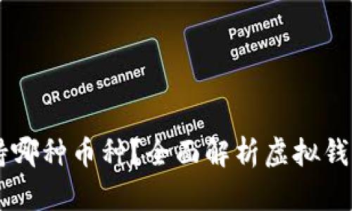 虚拟钱包支持哪种币种？全面解析虚拟钱包的购买能力