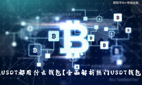 现在USDT都用什么钱包？全面解析热门USDT钱包选择
