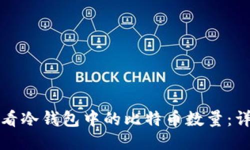 如何查看冷钱包中的比特币数量：详细指南