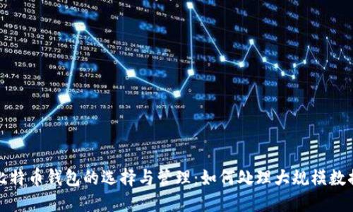 比特币钱包的选择与管理：如何处理大规模数据
