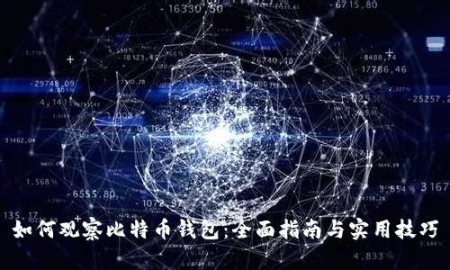 如何观察比特币钱包：全面指南与实用技巧