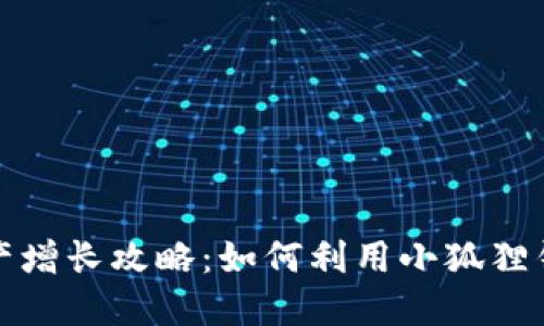 小狐狸钱包资产增长攻略：如何利用小狐狸钱包赚钱与投资