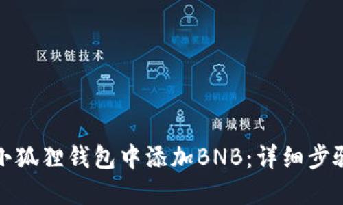 如何在小狐狸钱包中添加BNB：详细步骤与技巧