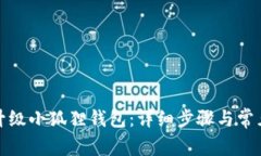 如何顺利升级小狐狸钱包：详细步骤与常见问题