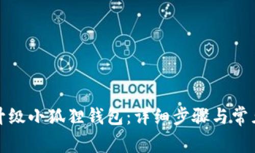 如何顺利升级小狐狸钱包：详细步骤与常见问题解答