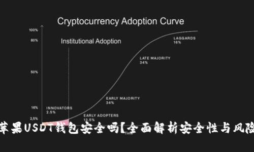 苹果USDT钱包安全吗？全面解析安全性与风险